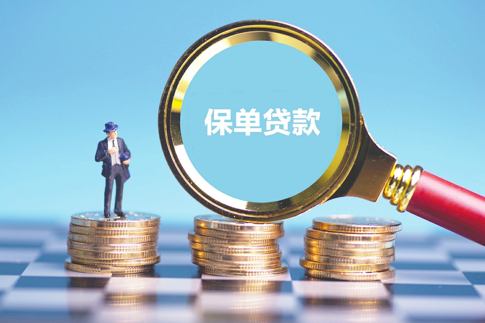 上海金山区空放应急贷：快速解决资金困难的最佳选择. 应急贷款, 临时资金周转, 贷款申请